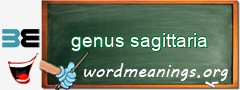 WordMeaning blackboard for genus sagittaria